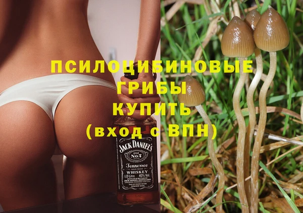 таблы Надым