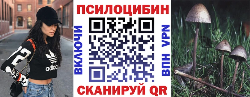 Псилоцибиновые грибы GOLDEN TEACHER  Южа 